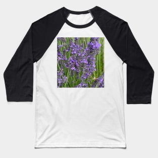 Rest Your Weary Head in a Fragrant Lavender Field Baseball T-Shirt